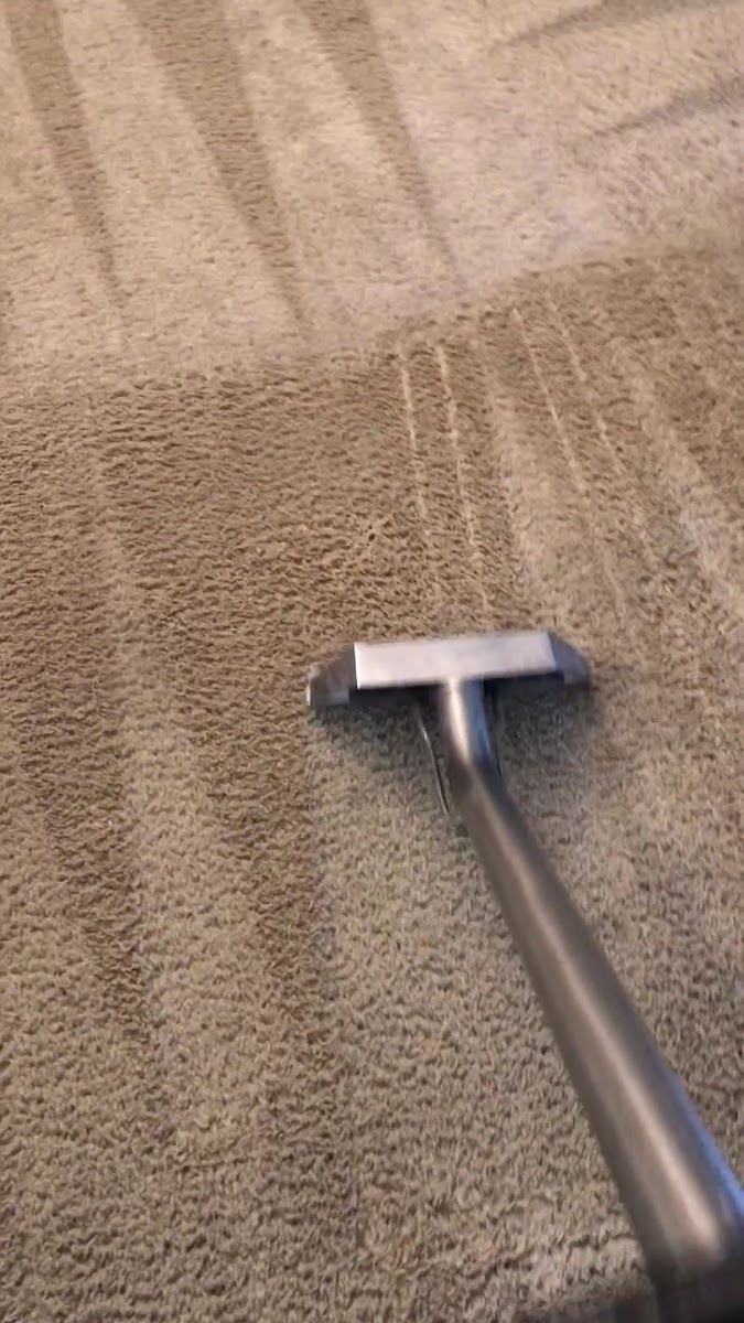 Same-Day Carpet Cleaning in Dallas, TX by Diamond Steamers
