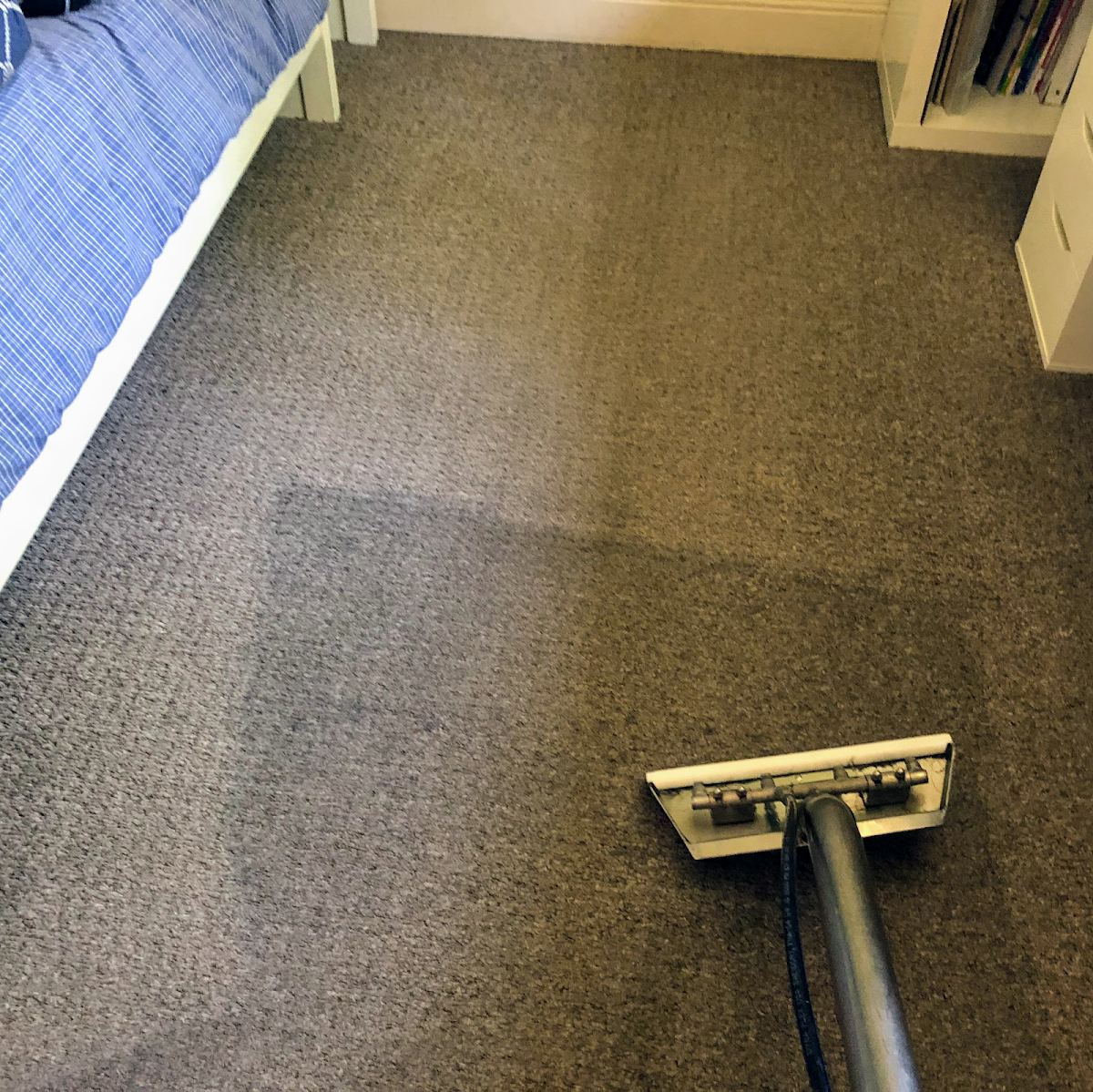 Freshly steam-cleaned carpet after Diamond Steamers in Dallas