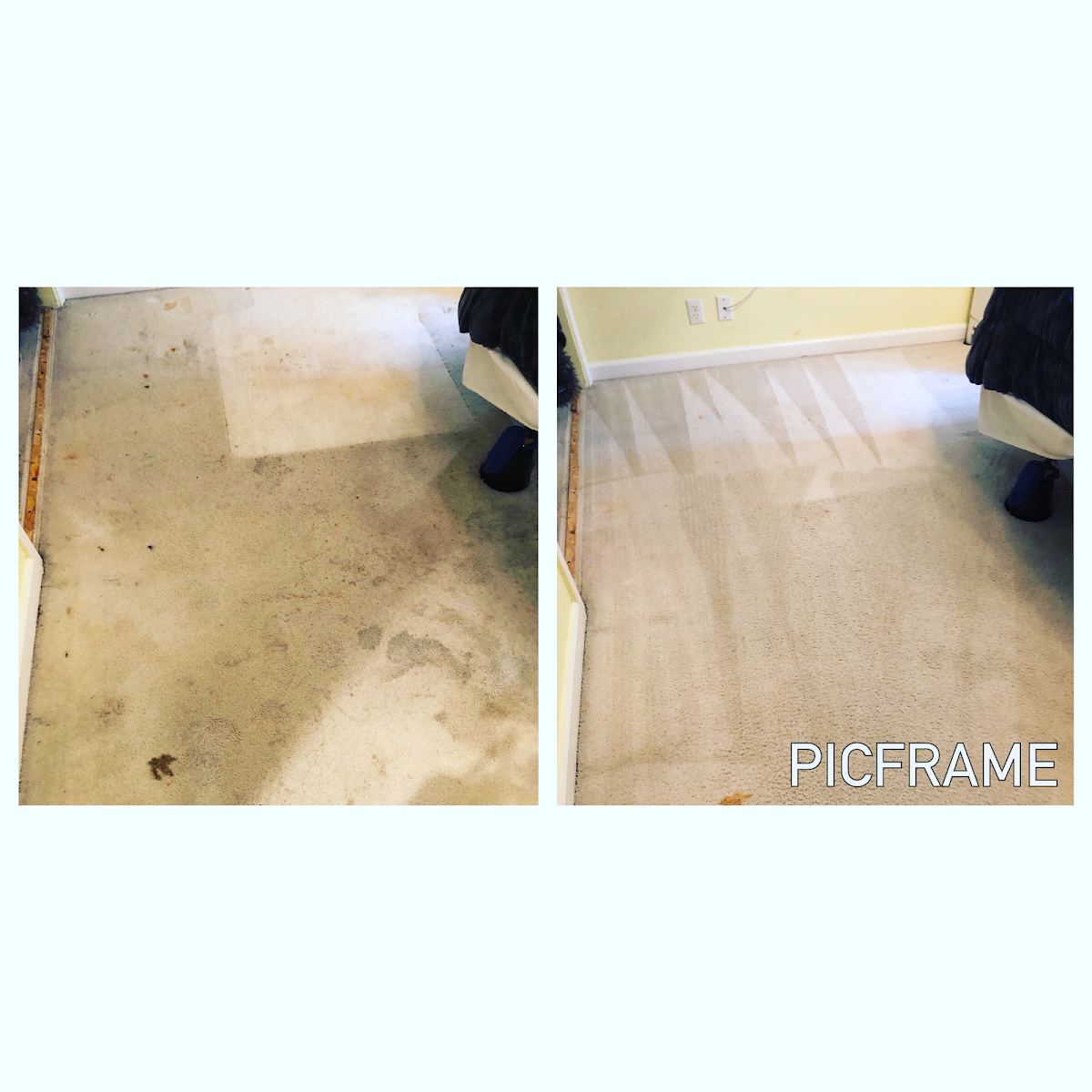 Pet Stain & Odor Removal in Dallas, TX by Diamond Steamers